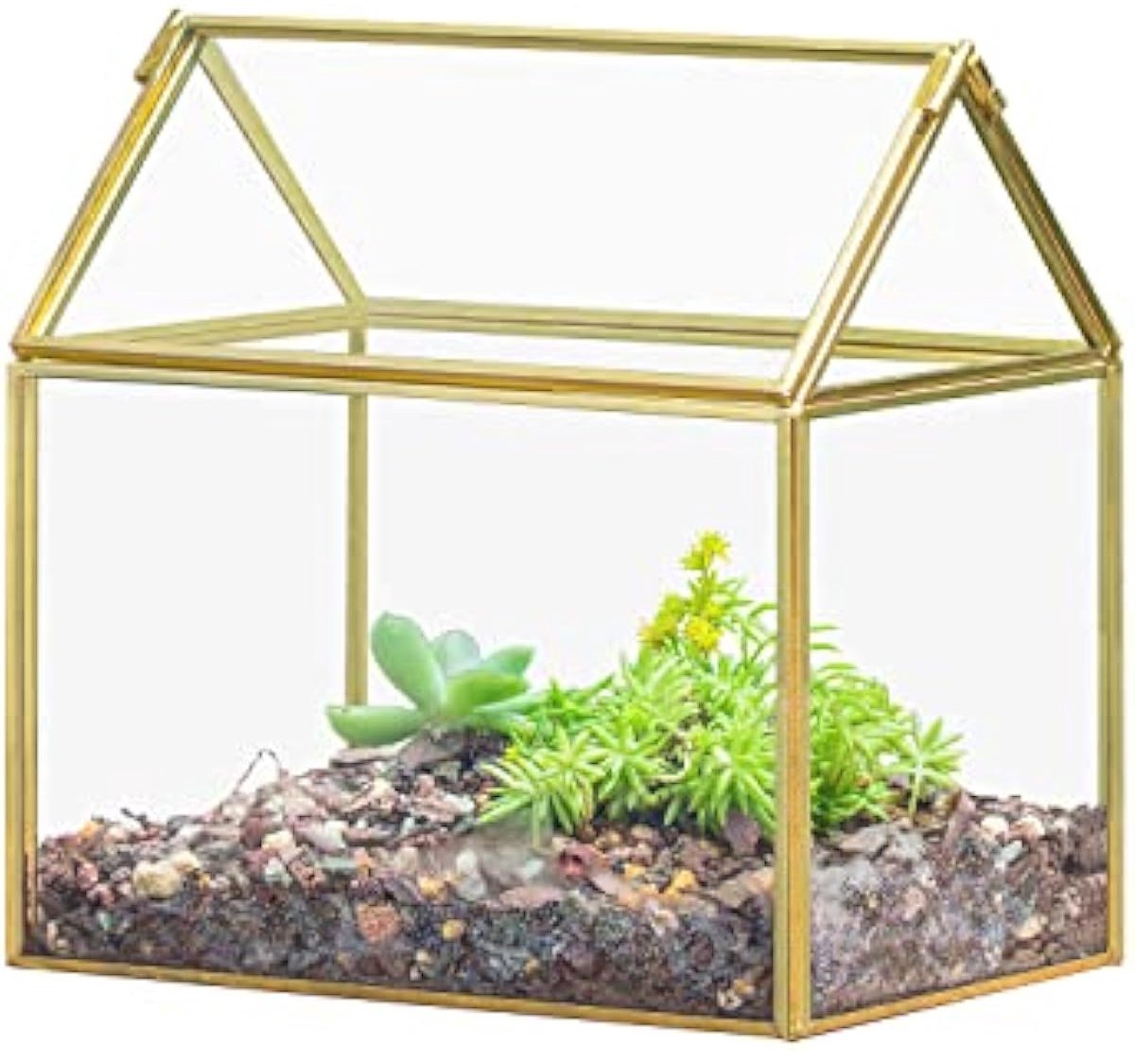 Terrarium set DIY glas geometrisch