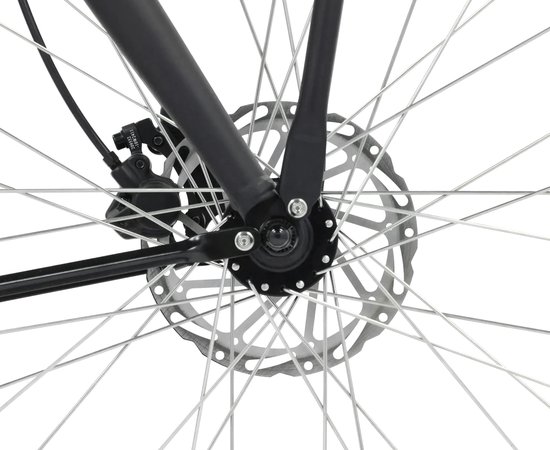 Popal Royl1 Elektrische Fiets - E-bike 28 Inch - Damesfiets 47 cm - Hydraulische schijfrem - 360 Wh Accu - Matzwart van Popal — afbeelding 3