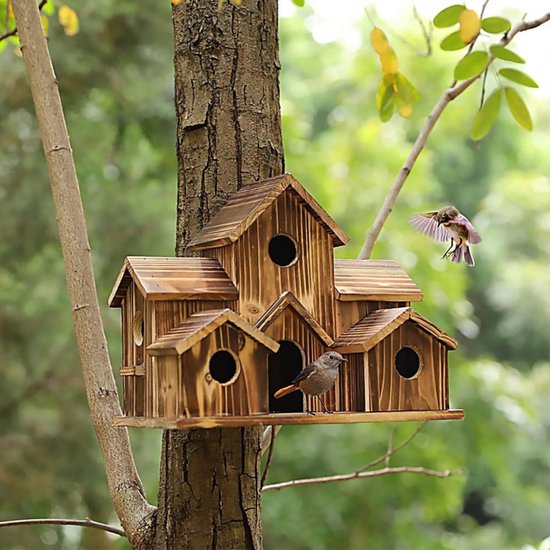 De 10 Beste Vogelvoer Houders Van 2025: Vergelijk En Vind De Juiste Voor Jouw Tuin