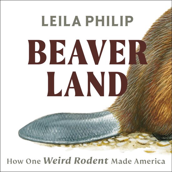 Beaverland - cover