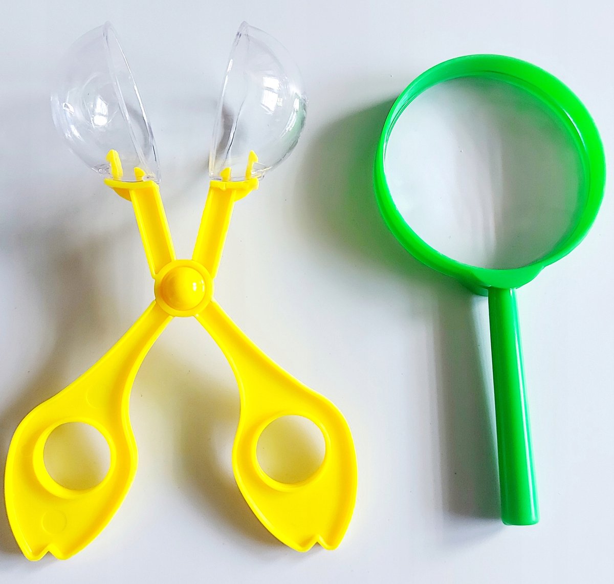 Verkenner Set met Vergrootglas en Insectengrijper voor Kinderen