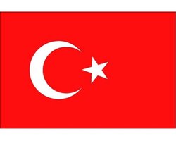 Vlag van Turkije stickers - 7 x 10 cm - Landen - Turkse vlaggetjes - versiering - feestartikelen