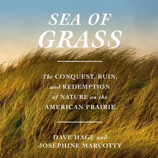 Sea of Grass - cover
