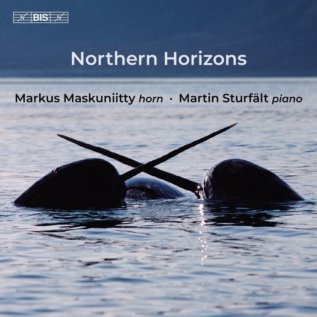 Markus Maskuniitty, Martin Sturfalt - Northern Horizons (SACD)