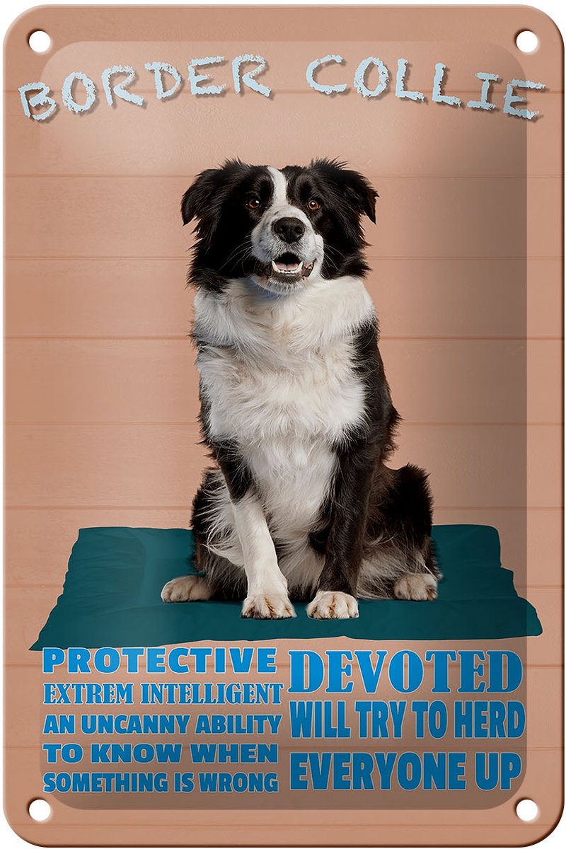 Blechschild Spruch 12x18cm Border Collie Hund protective