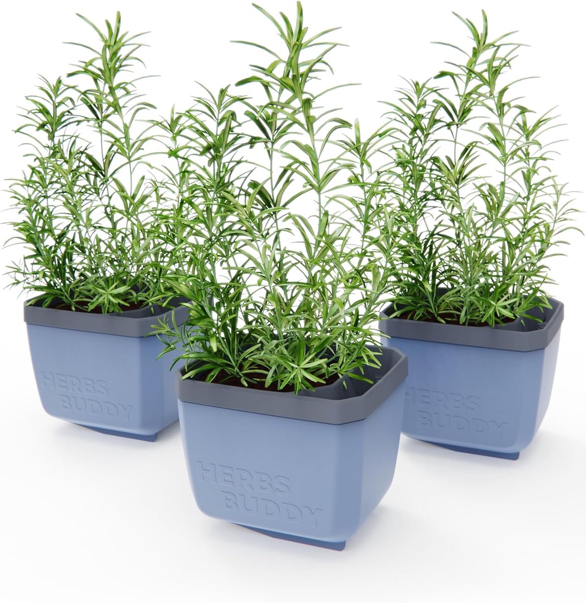 GUSTA GARDEN Herbs Buddy - Zelfbewaterende pot & kruidenpot voor keuken & vensterbank, ideaal voor basilicum, watertank, waterniveau-indicator
