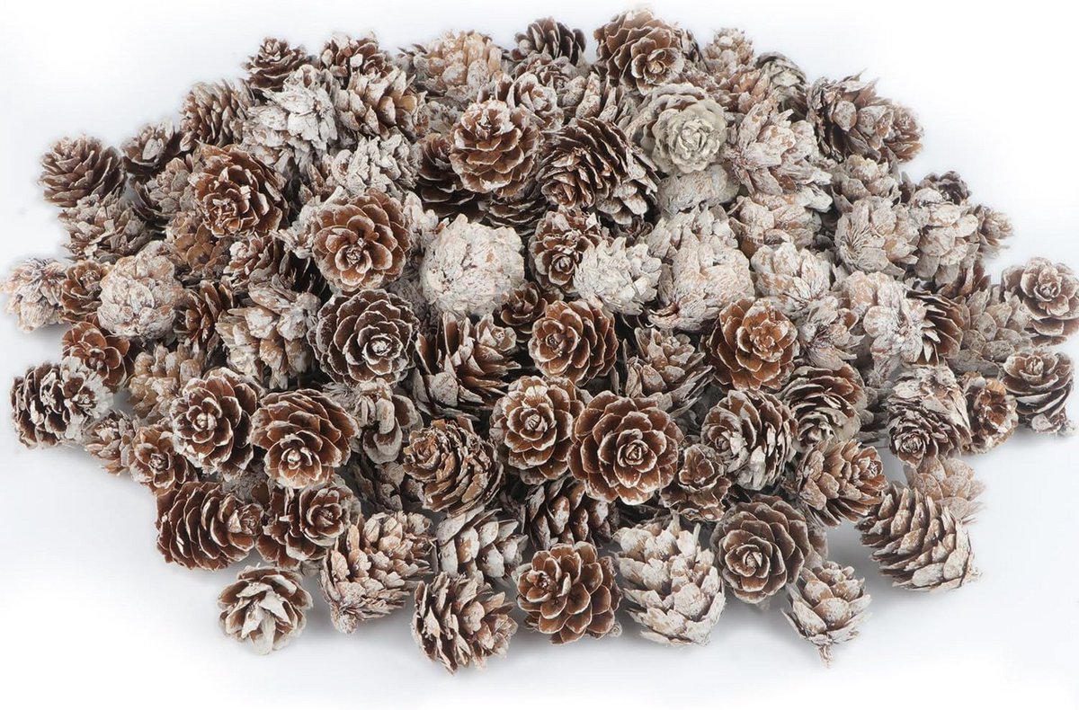 Mini dennenappels 200 stuks - natuurlijke decoratie voor creatieve projecten
