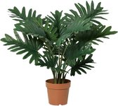 Florafy Plante artificielle Philodendron Selloum | 70cm - Plantes artificielles pour l'intérieur - Sans entretien