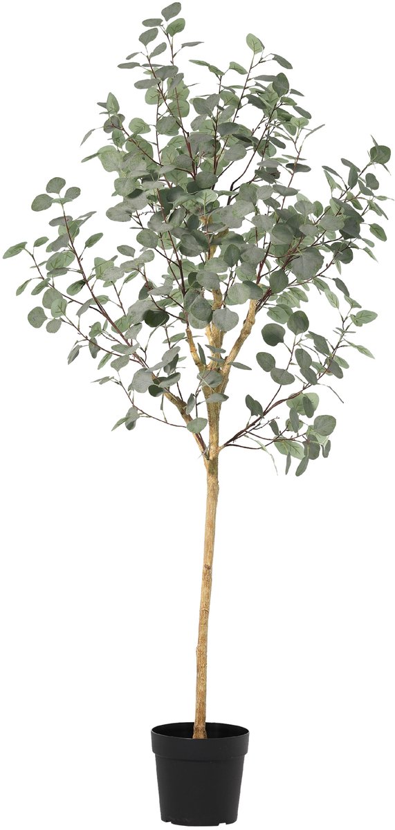 Florafy Kunstplant Eucalyptus 180cm - Kunstplanten voor binnen - Onderhoudsvrij Groen