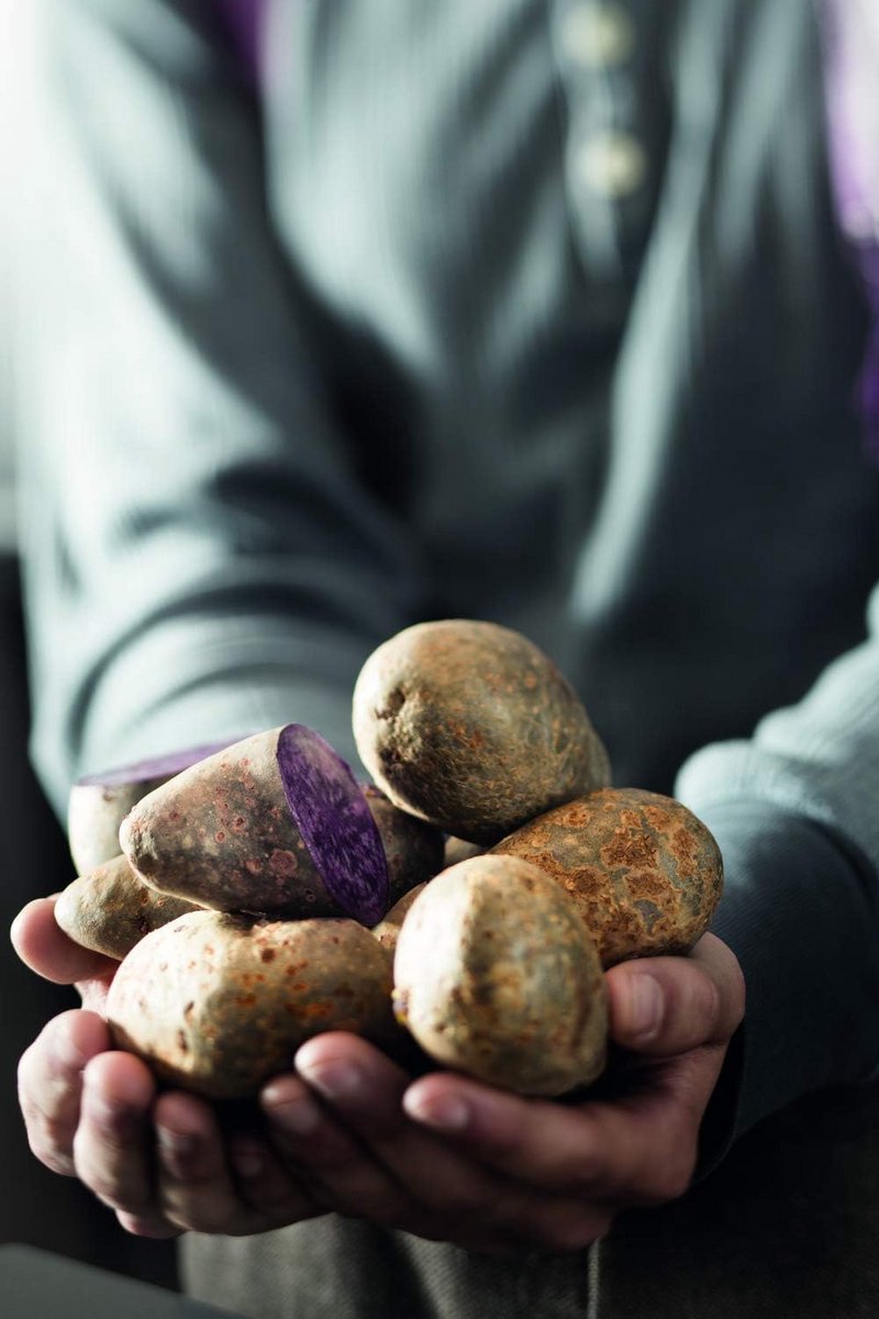 Hoogwaardige Aardappelvork van Roestvrij Staal - Vaatwasmachinebestendig en Ideaal voor het Schillen van Aardappelen