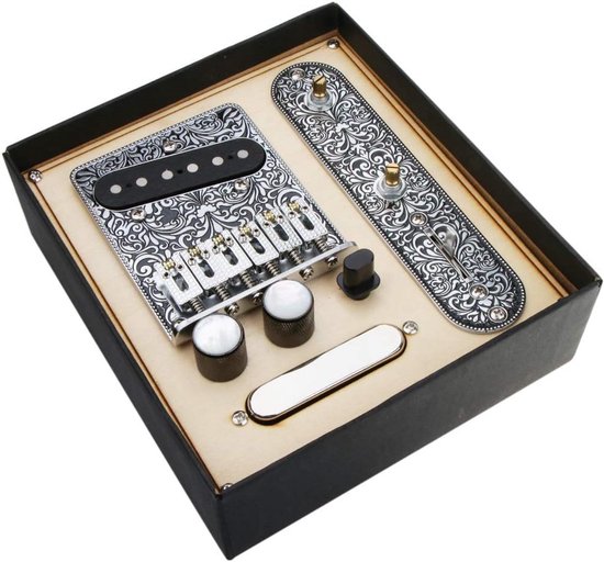 Complete Gitaar Hardware Set: Brug, Controle Plaat & Humbucker Set voor ...