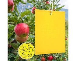 Professionele gele insectenval voor het bestrijden van maden, bladluizen en motten - 50 stuks