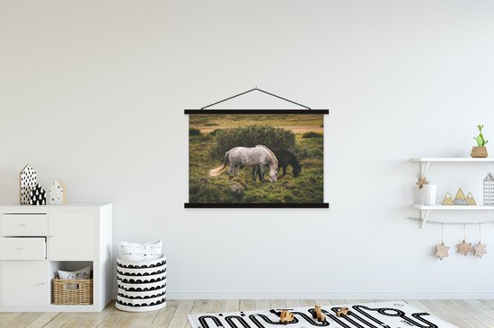 Porte-affiche avec affiche - Affiche scolaire - Paarden - Herbe - Arbuste - 120x80 cm - Lattes noires