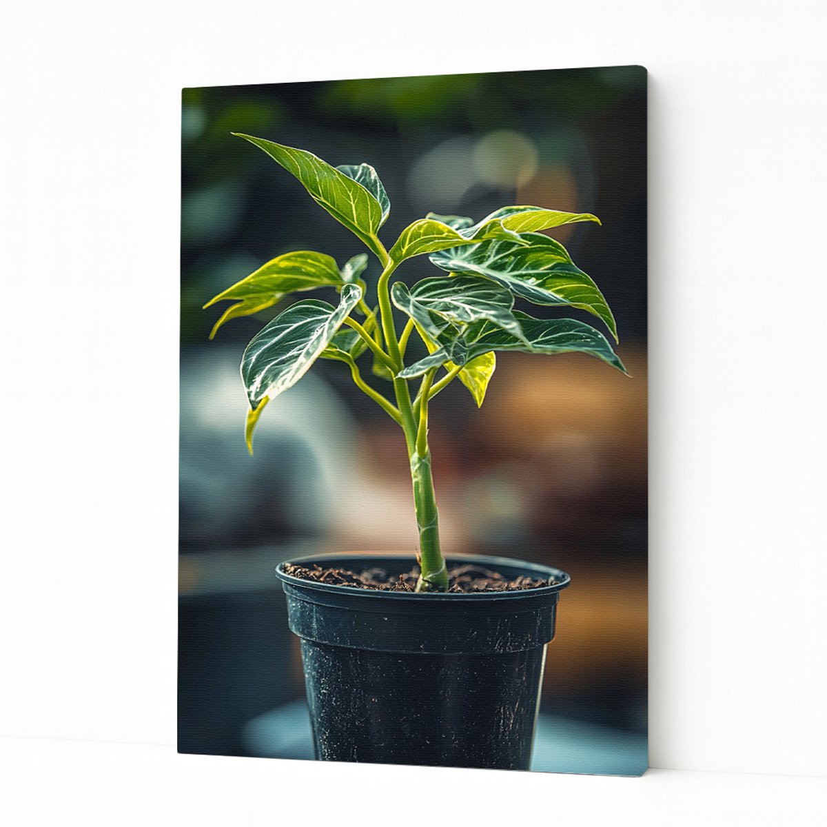 Kamerplant in pot – interieurdecoratie – Canvas schilderij – 40x60 cm