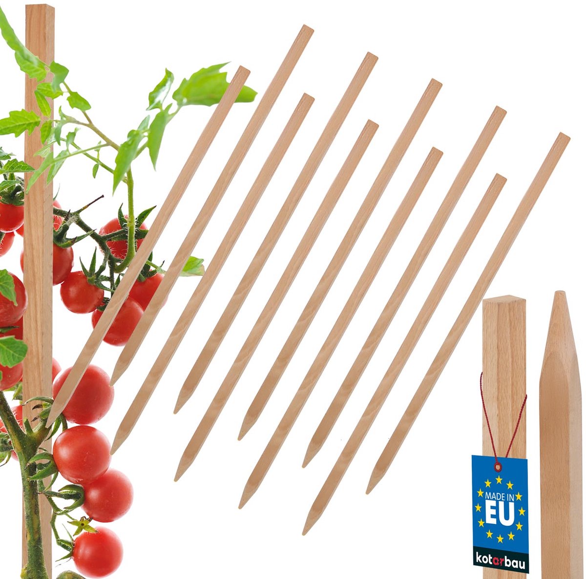 Kotarbau Serie - Houten Plantstokken - 40 CM - Set van 10 - Voor Pompoenen en Struiken