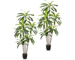 PASCH® Drakenboom kunstpalm, groot, 160 cm, duurzaam en natuurgetrouw | grote kunstplanten voor een natuurlijke sfeer