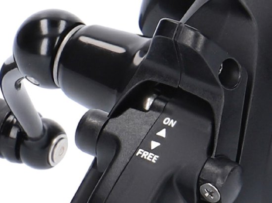 Daiwa Black Widow BR LT 19 - 4000-C - Vrijloopmolen - Zwart - 320 gr - 5.2:1 lagers - Zwart — afbeelding 3