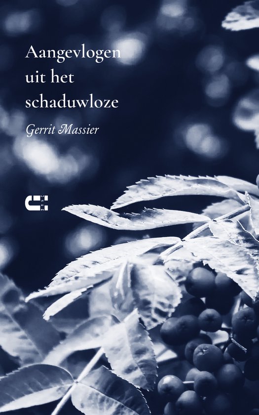 Aangevlogen uit het schaduwloze