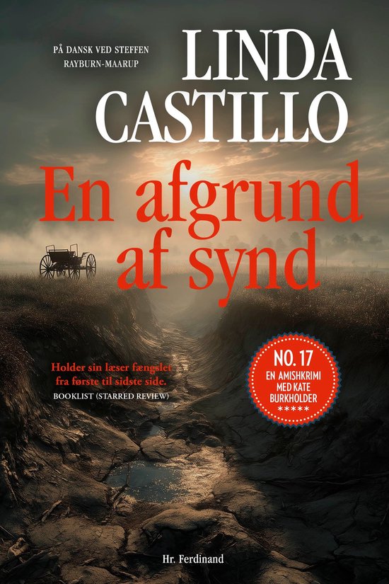 Amishkrimi med Kate Burkholder 17 - En afgrund af synd - cover