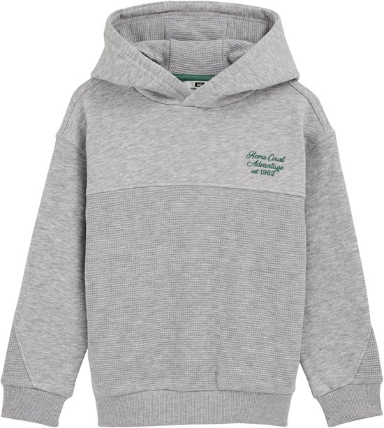 WE Fashion Jongens hoodie met structuur