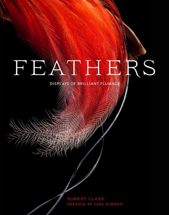 Feathers - cover