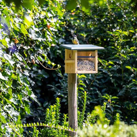 CJ Wildlife - Mangeoire murale pour oiseaux Tilburg - Vert - Mangeoires pour oiseaux