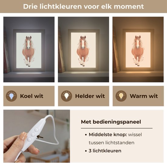 Demonstratie van 3 lichtkleuren: koel, helder en warm wit, met bedieningspaneel.