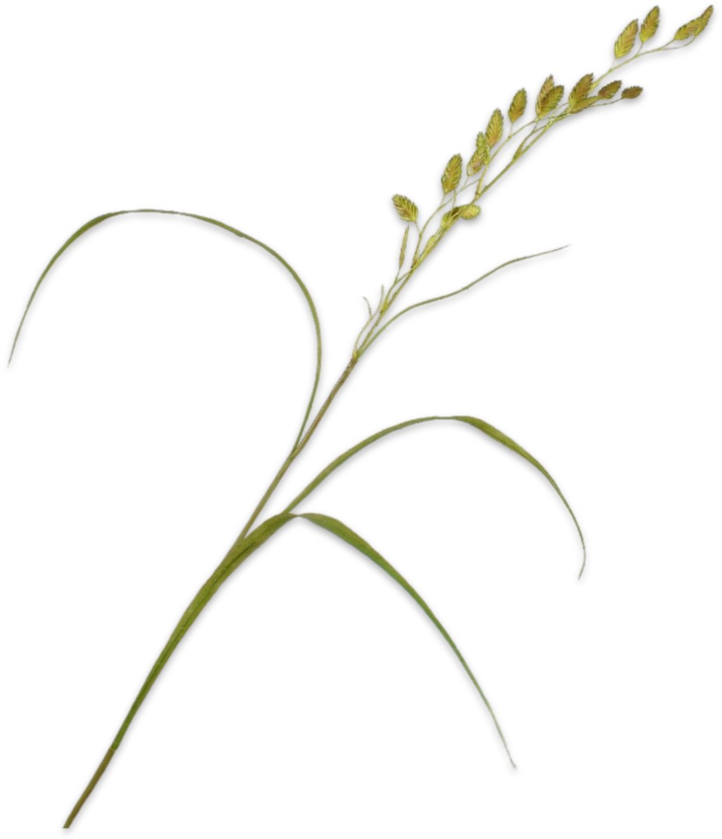 Silk-ka Kunstbloem - groen - H108 cm - 2 stuks