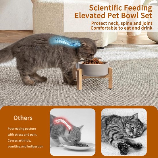 Wetenschappelijke verhoogde eetbak set voor huisdieren. Een kat eet uit een grijze keramische voerbak op een houten standaard. Beschermt nek, ruggengraat en gewrichten.