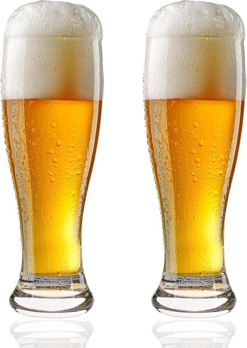 17 oz Pilsner Glazen voor Specialiteit Bier - Stijlvolle en Duurzame Bier Drinkware