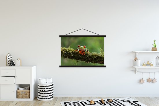 Grenouille maca aux yeux rouges sur une branche couverte affiche textielposter lattes noir 150x100 cm - Tirage photo sur plaque scolaire (décoration murale salon / chambre)