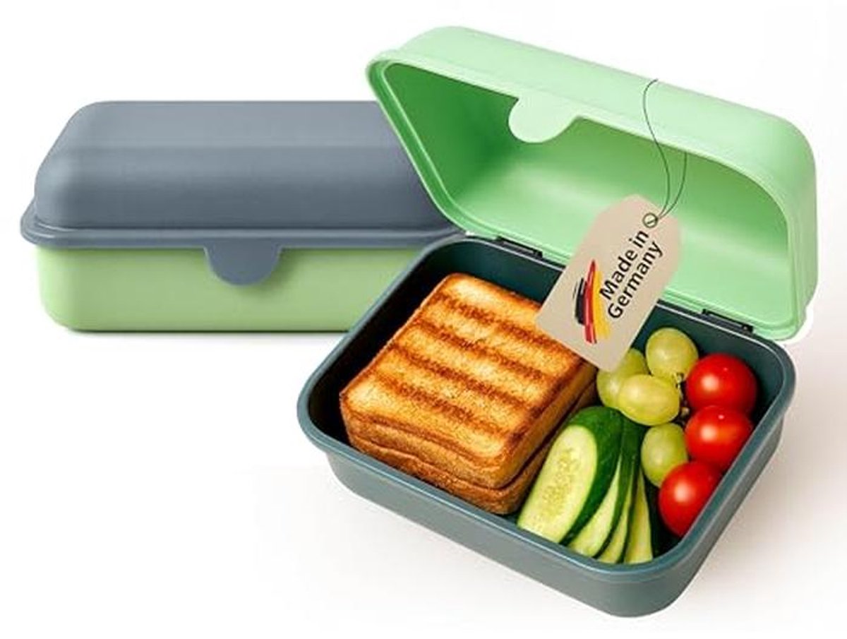 Set van 2 BPA-vrije lunchboxen voor kinderen en volwassenen - Vaatwasmachine- en magnetronbestendig - Ideaal voor school of onderweg