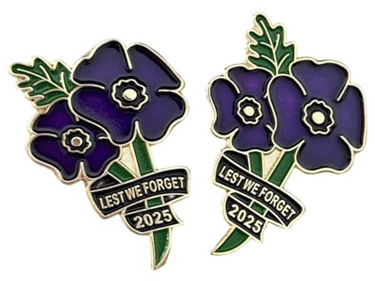 Paarse Poppy Pin Badges voor Herdenkingsdagen