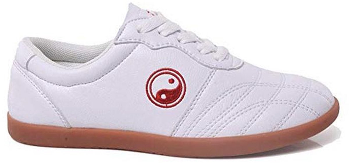 Vechtsportschoenen voor Tai Chi, Kung Fu en Boksen - Comfortabele en Flexibele Trainers voor Dames en Heren