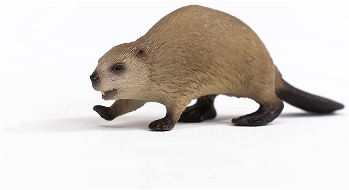 schleich WILD LIFE - Bever - 14855 — afbeelding 3