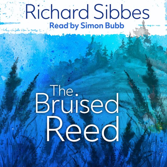 The Bruised Reed - cover