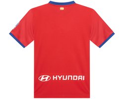 Atlético Madrid Thuis Shirt Heren - Maat M - Volwassenen - Voetbalshirt - Sportkleding - La Liga