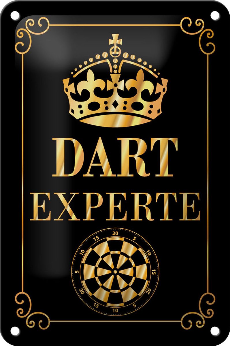 Blechschild Spruch 12x18cm Dart Experte Krone
