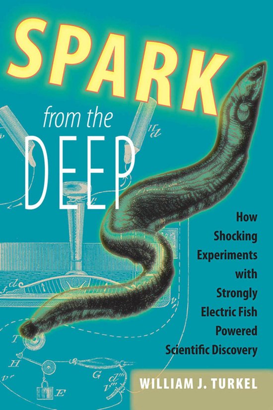 Animals History Culture - Spark from the Deep - cover