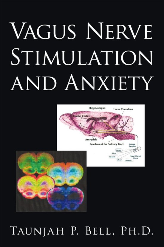 Vagus Nerve Stimulation and Anxiety - cover