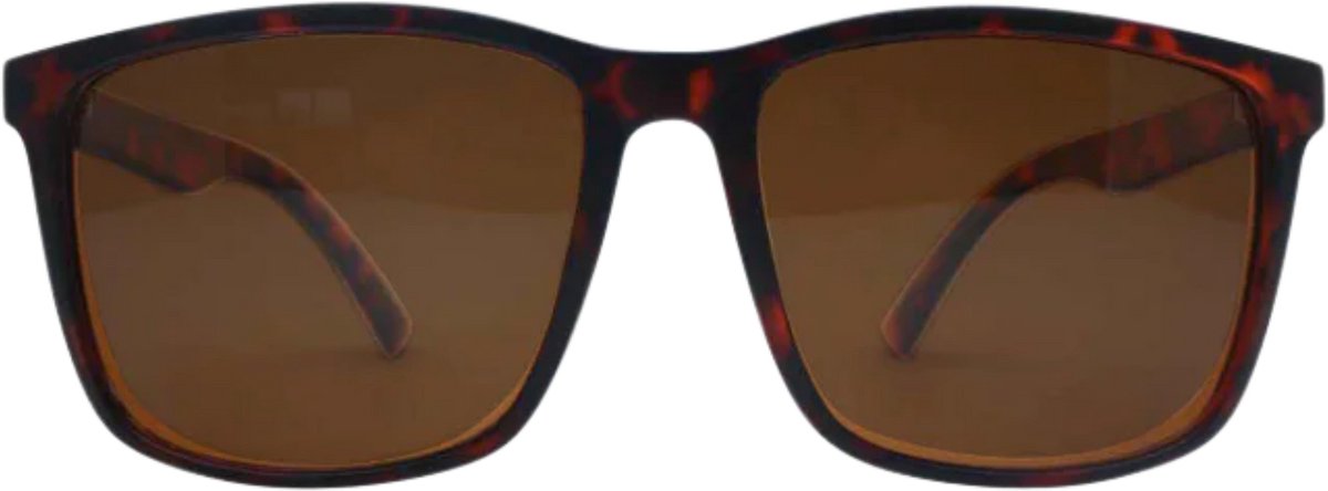 I-SEA HOPPER Zonnebril Polarized Tort - Brown