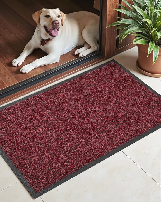 Weerbestendige deurmat tuin - Zwart 40 x 60 cm - Buitenmat tegen stof - Makkelijk schoon te maken deurmat - Deurmat kunststof borstelharen 1,4cm hoog