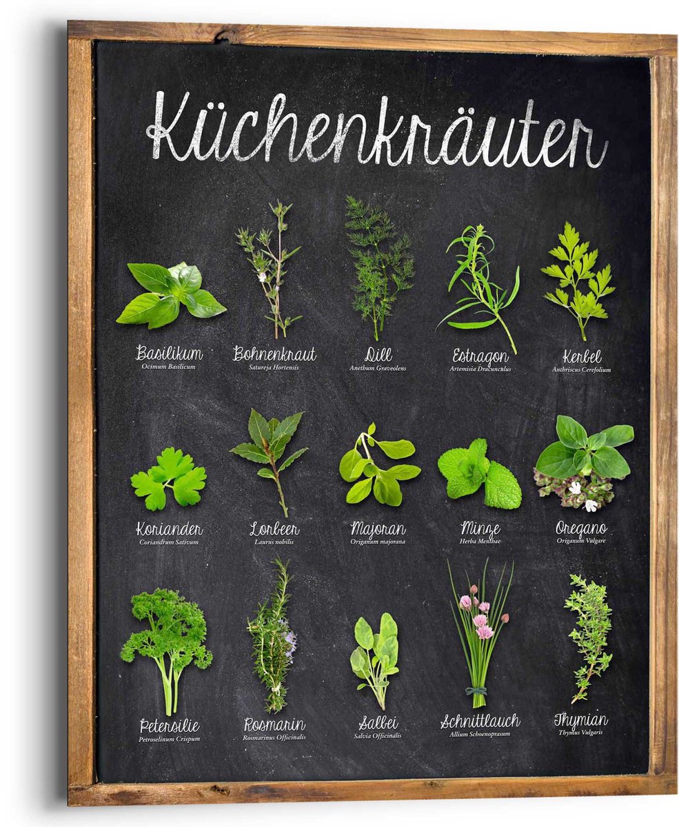 Reinders Schilderij Küchenkräuter Duitstalig - 50 x 40 - Hout - REINDERS groen