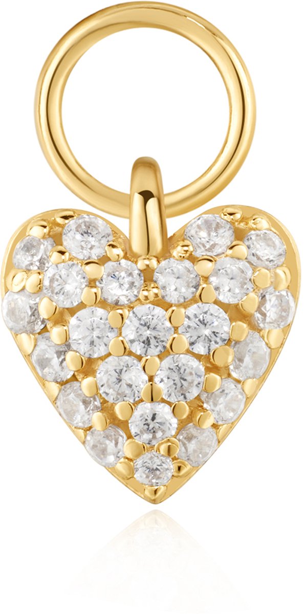 Ania Haie AH EC060-05G Pop Charms Dames Hanger