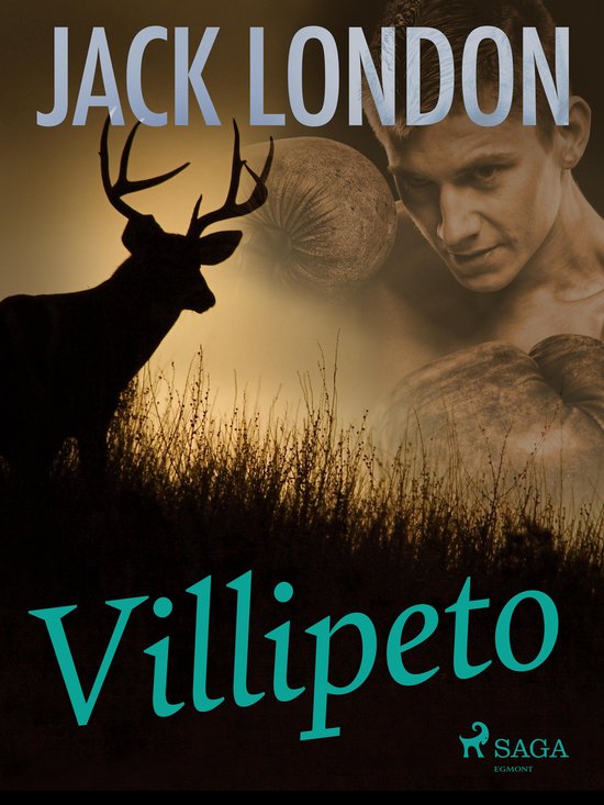 Villipeto - cover