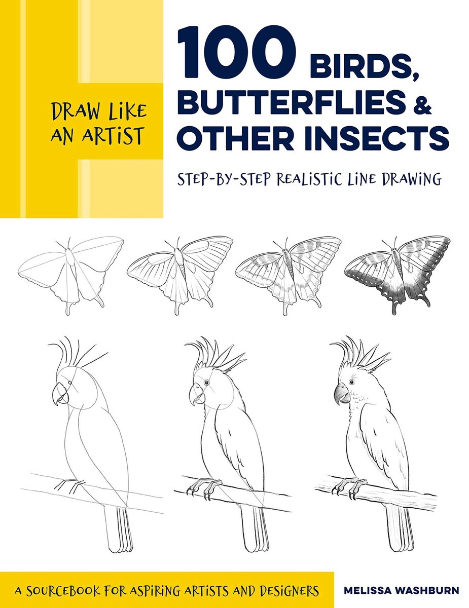 Omslag van Draw Like an Artist: 100 Birds, Butterflies, and Other Insects