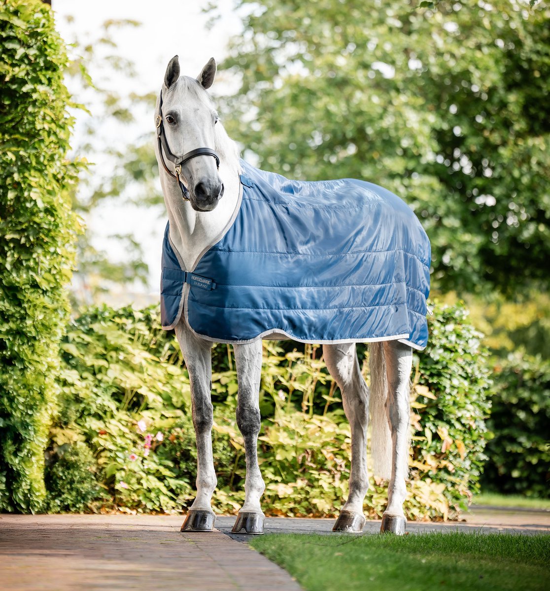 HORSEWARE IONIC THERAPY LINER 50GR Blauw