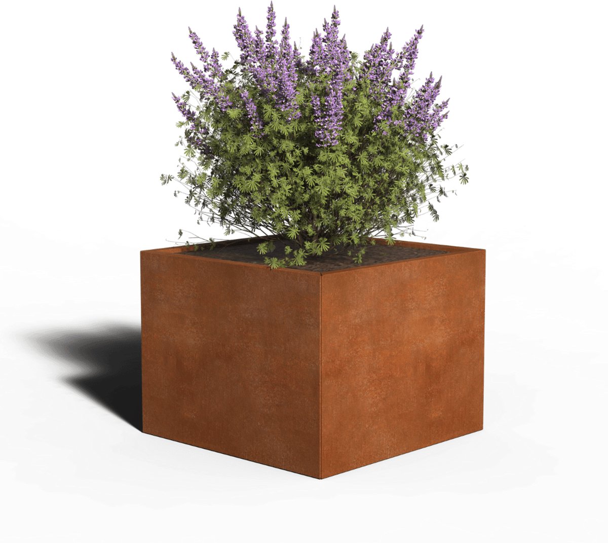 Cortenstaal Plantenbak Vierkant | 80 x 80 x 40 | Zonder bodem