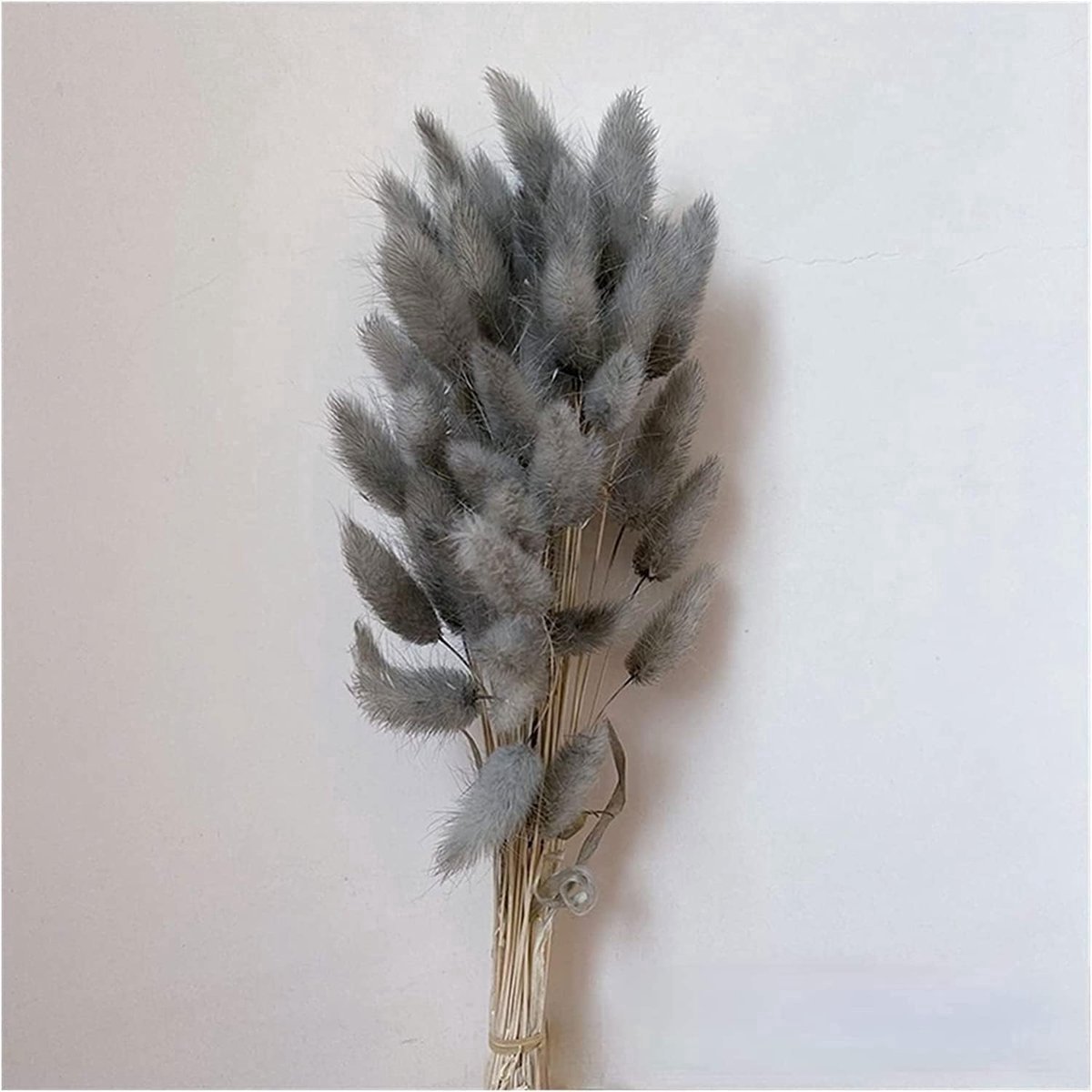 Stunq® 60 stuks gedroogd pampasgras, gedroogde bloemen vloervaas, natuurlijk pampasgras boeket, gedroogde bloemen boeket decoratie, kunstmatige grote gedroogde bloemen, gedroogde bloemen pampasgras.