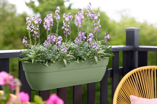 Lichtgroene balkonbak met paarse bloemen, hangend aan een zwarte balustrade.